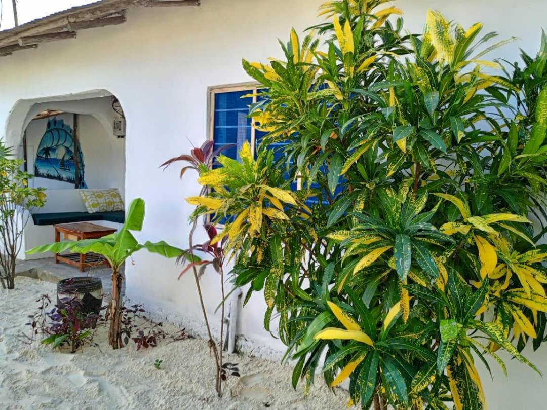 فيلا Kacho House جامبياني المظهر الخارجي الصورة