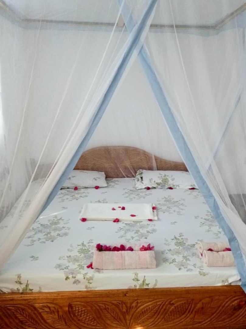 فيلا Kacho House جامبياني المظهر الخارجي الصورة